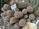 Wycieczka