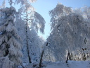 Wycieczka