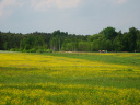Wycieczka