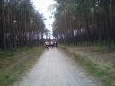 Wycieczka