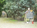 Rajd