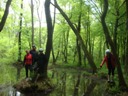 Wycieczka