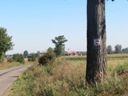 Szlaki