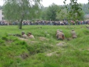Rajd